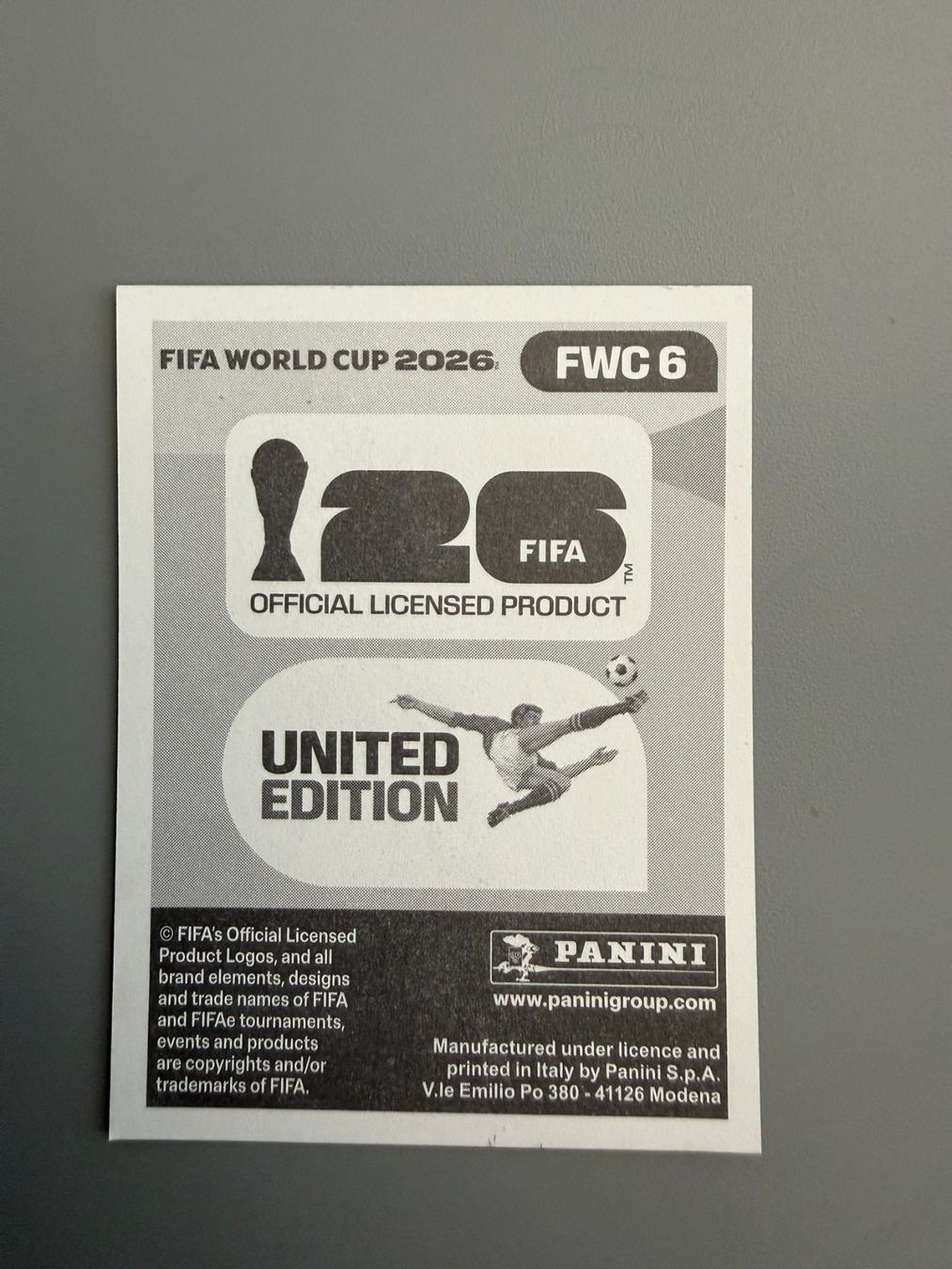 Panini Carte collezionabili: Panini FWC6 – Usato da Liebefeld venduto da Ronaldo-1996 1