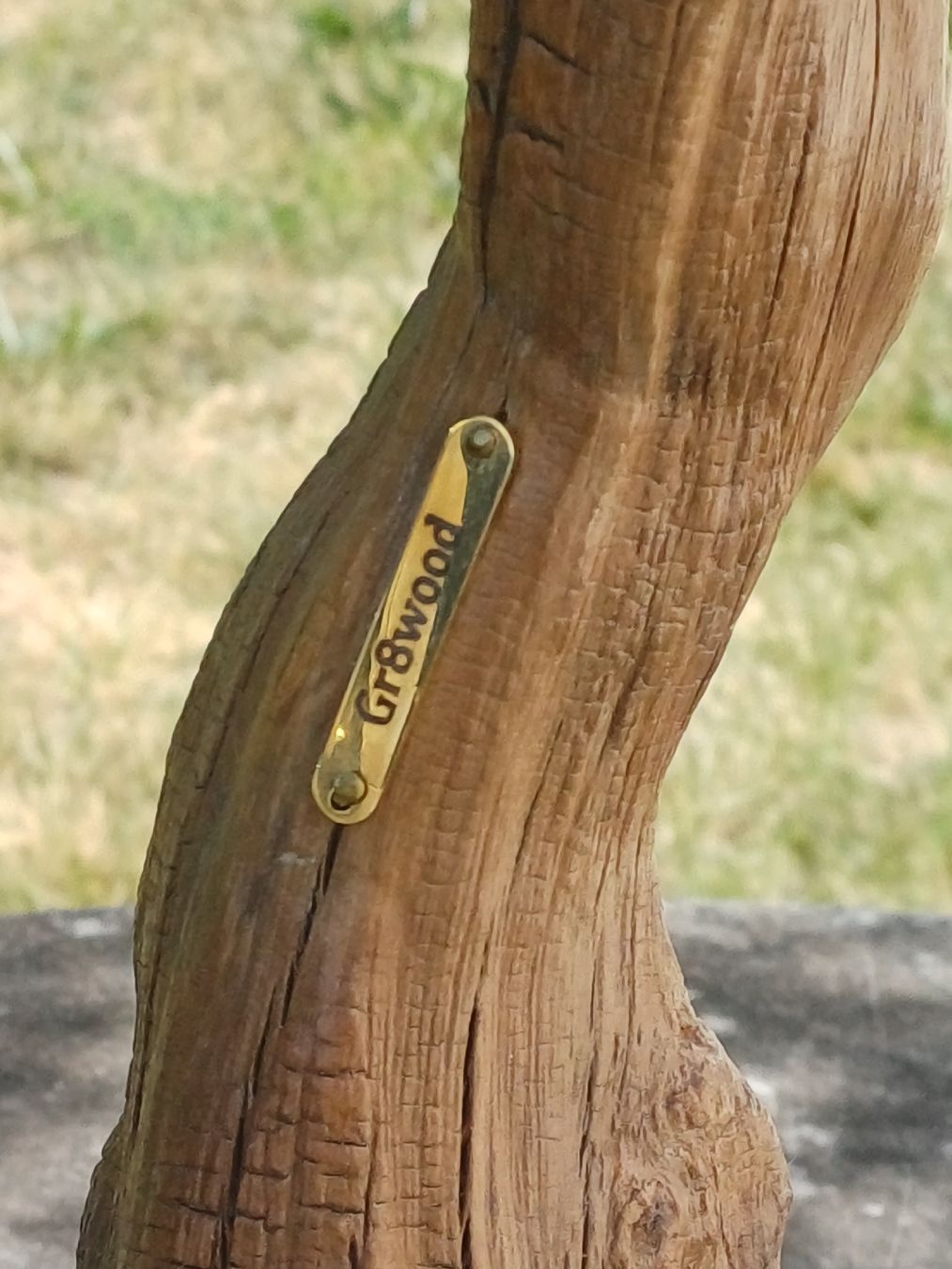 Tutte le decorazioni: Wurzel Deko Abstrakt  – Nuovo (secondo la descrizione) da Domat-ems venduto da Gr8wood 2