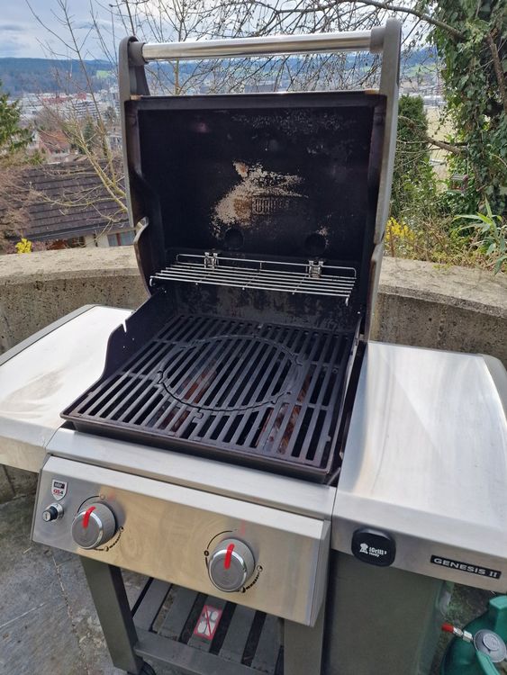 Weber Gasgrill GENESIS II E210 Kaufen auf Ricardo