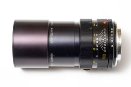 Leica R - APO-Telyt-R 180mm f/3.4 - Leitz Canada