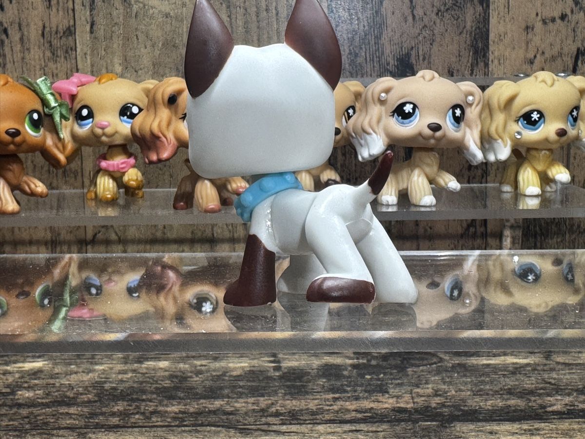 Spielzeuge: Littlest pet shop Great dane – Gebraucht aus Luzern von Maja.C 1