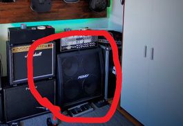 Peavey 4x12 Cabinet / Umbaut auf 4x Celestion V30 /G12