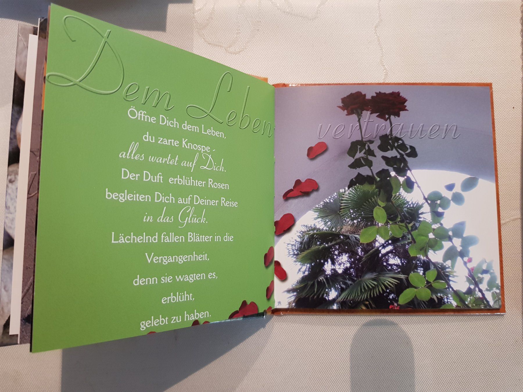 Libri: Büchlein "Danke" Fabrikneu!    Mit schönen Sprüchen. – Nuovo (secondo la descrizione) da Lupfig venduto da Angel17 1