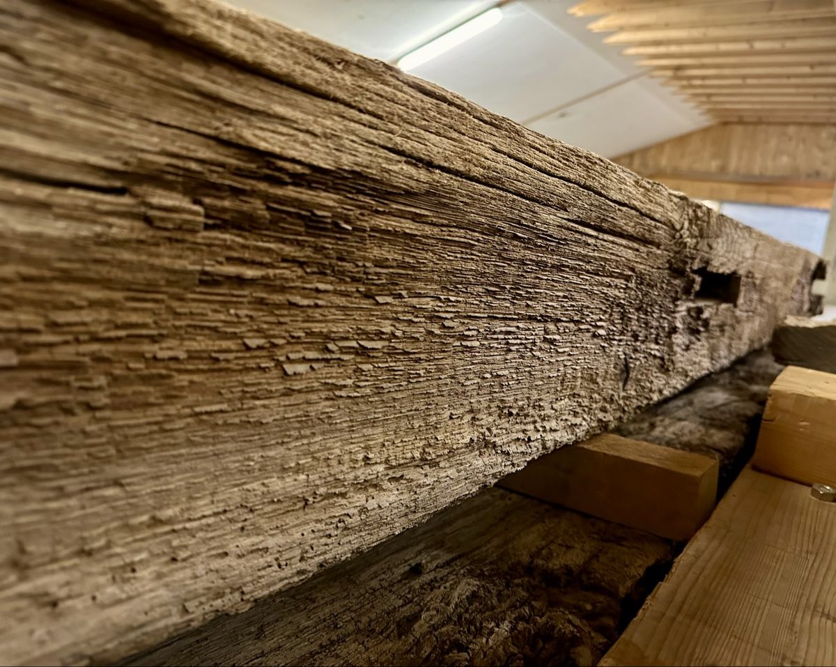 Articoli in legno: Eiche, Balken, Eichenbalken, Holz, massiv, Möbel, Sitzbank – Usato da Meggen venduto da deanstreet 4