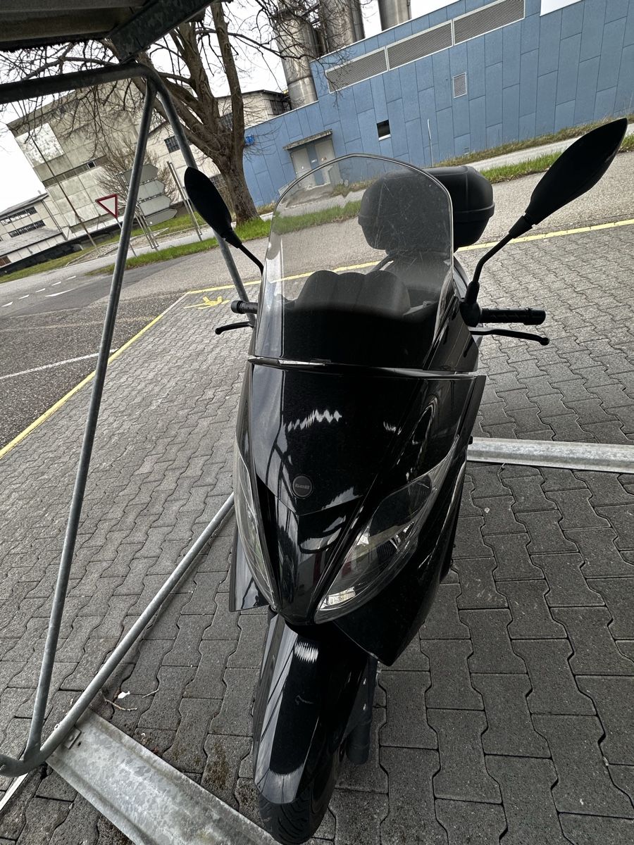 Tell Route: Roller Tell Silver Blade 250 – D'occasion à Zürich par Lari72 2