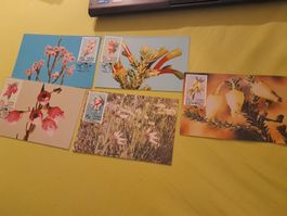 Lot de 6 cartes postales avec timbres - Motifs floraux
