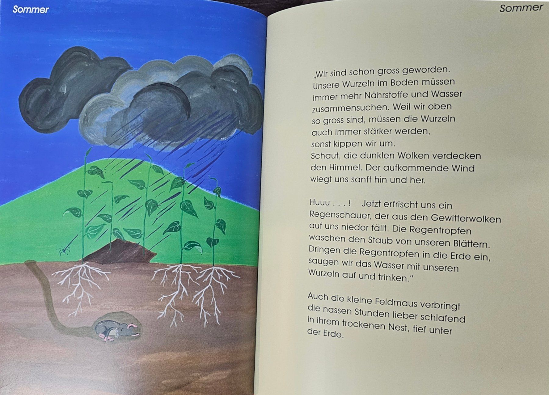 Bücher: Kinderbuch – Neu und originalverpackt aus Walenstadt von pedroju-1 4