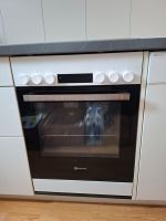 Backofen mit Herdplatte Bauknecht