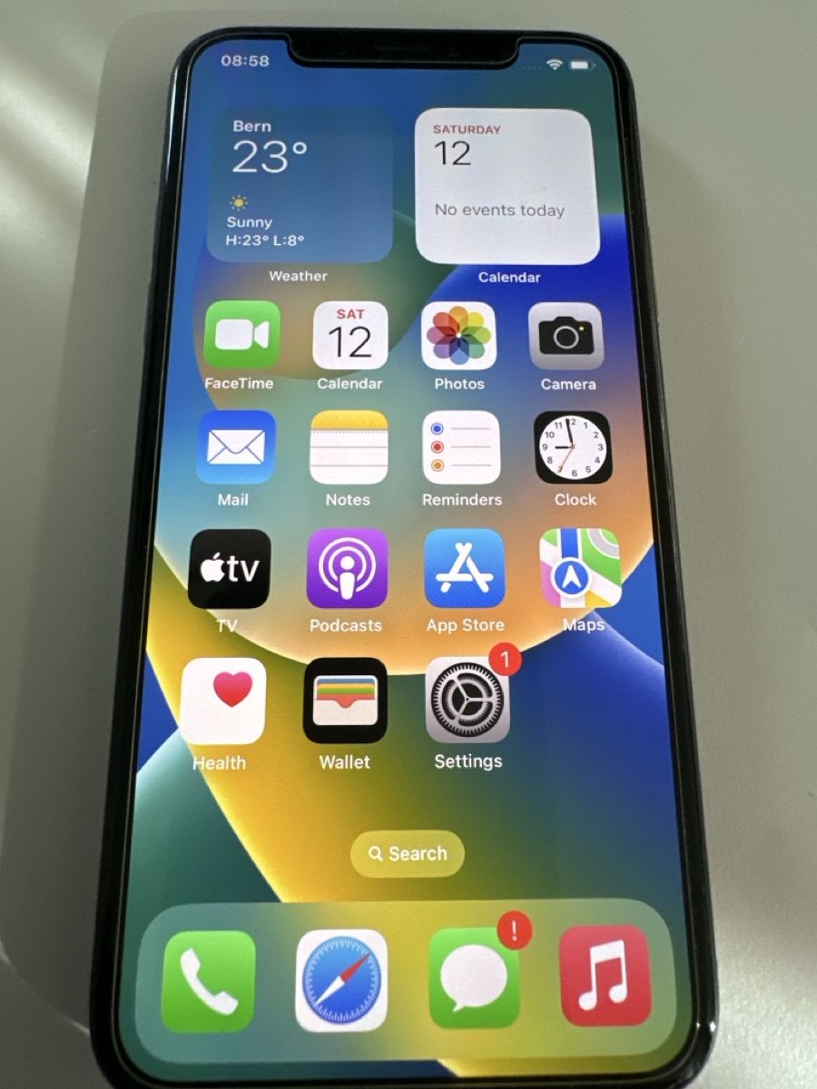 Apple Telefoni cellulari / Smartphones: Apple iPhone X 256GB black, screen protector and case – Usato da Allschwil venduto da MB4123 1