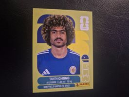 Panini WM 26 CUW 14