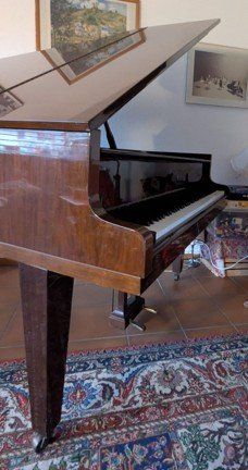 Strumenti musicali: Piano à queue – Usato da TANNAY venduto da Berkoricar 5