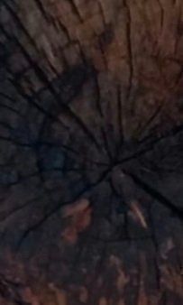 Articoli in legno: Pièce massive, sculpture Ph. Blanchet – Nuovo e nell'imballaggio originale da DUGNY (-Leytron) venduto da Rdeny 6