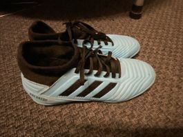 Adidas Predator Hallenschuhe in der Grösse 37 1/3