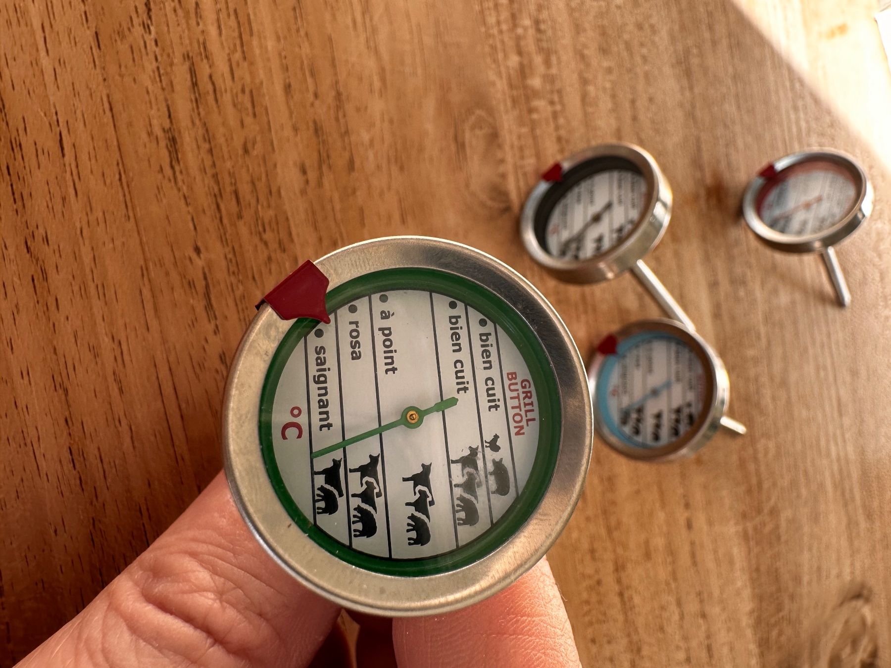 Sonstiges für Haushalt & Wohnen: 4 mini thermomètres à viande – Gebraucht aus Leytron von TipTop1912 1