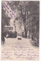 Pensionnat Lippold, Camp Mont Choisi, Lausanne  1905