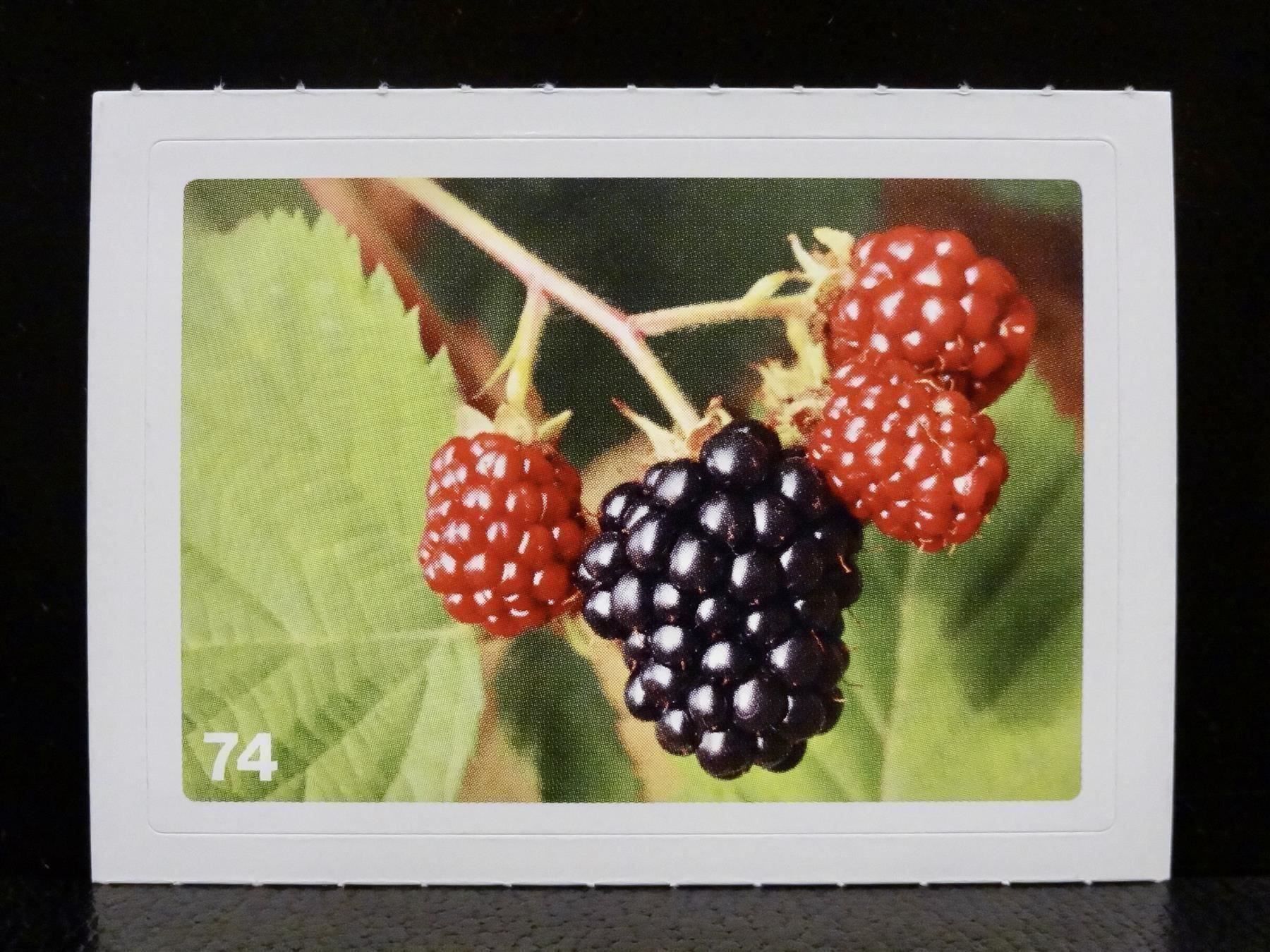 Migros Cartes à collectionner: MIGROS MANIA Nature Detectives Nr. 74 – D'occasion à Kerzers par zimmergruen