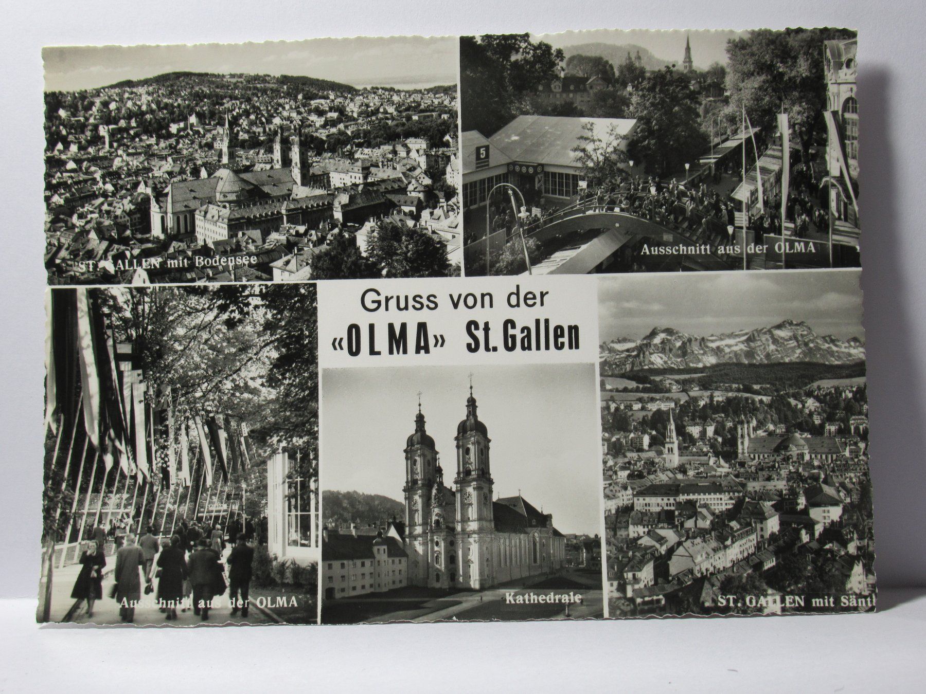 Cartoline postali: St. Gallen - Olma – Nuovo (secondo la descrizione) da Grenchen venduto da Bluemchen1900