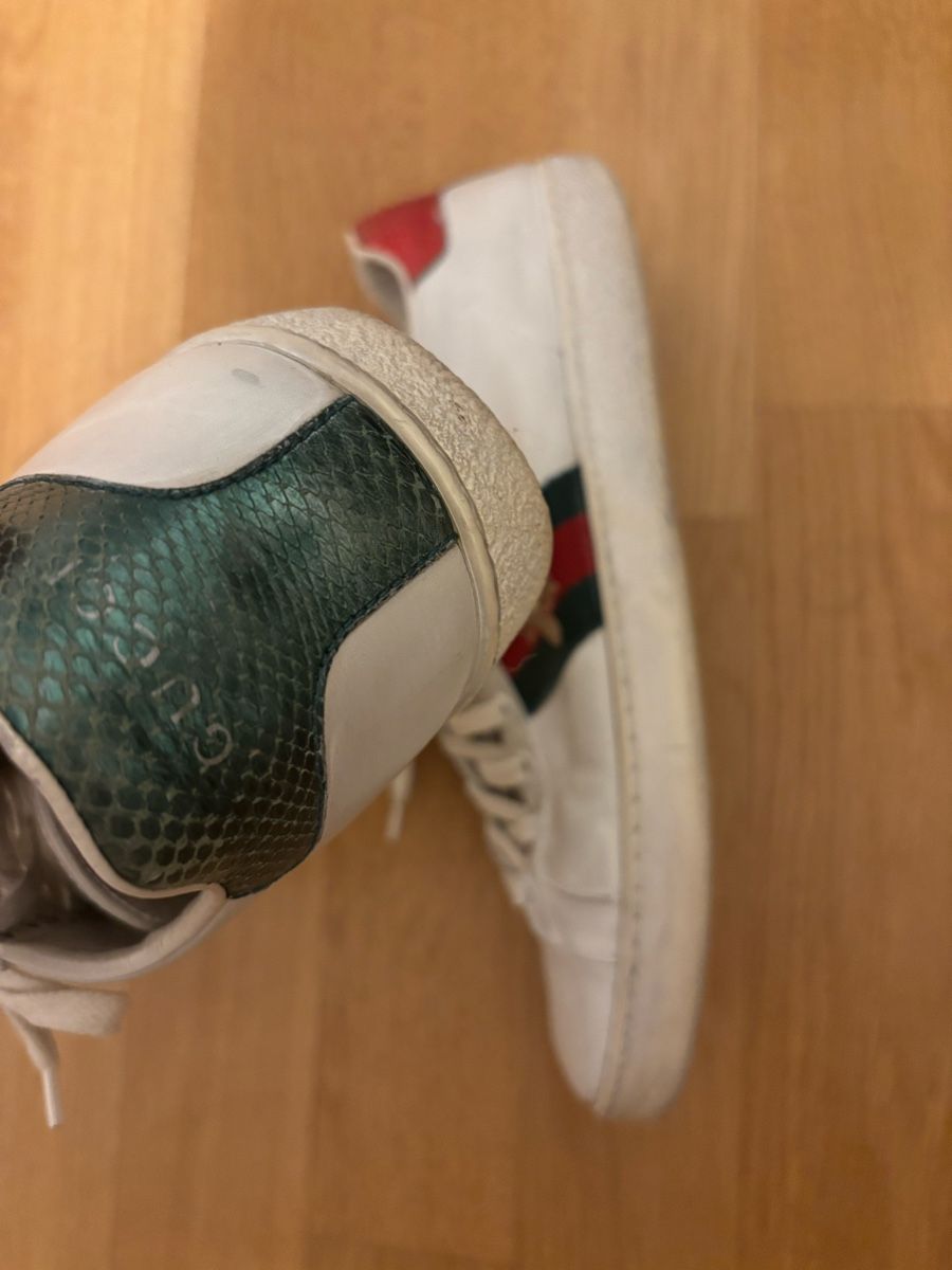 Scarpe da donna: Gucci ace 40 – Usato da Zürich venduto da poq_jg82 2