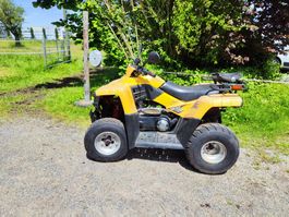 Quad Masai A300  Defekt