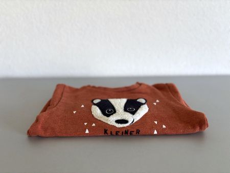 Frechdachs Herbstpulli Kinder Pullover 100% Baumwolle Gr. 86