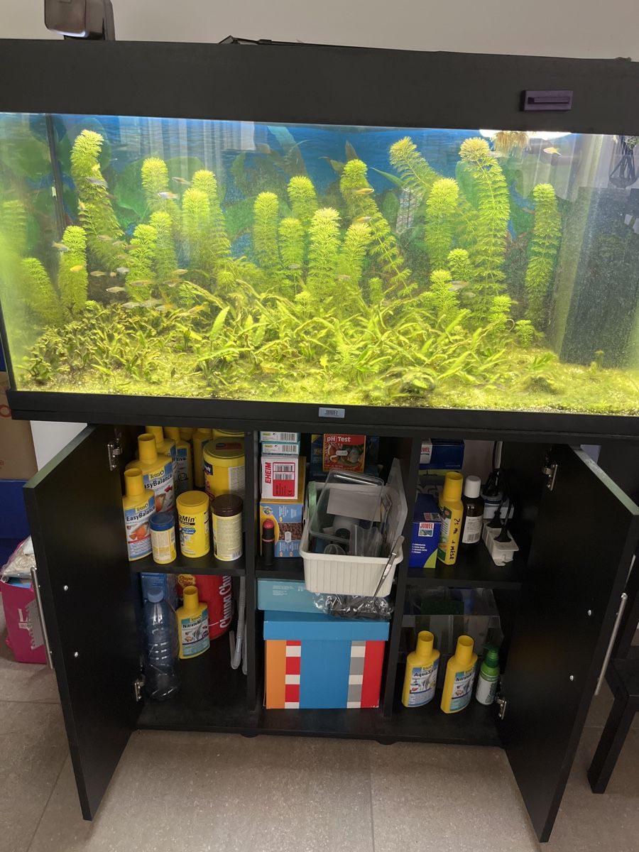 Acquari: Acquario 180 L – Usato da Paradiso venduto da Wildlime 2