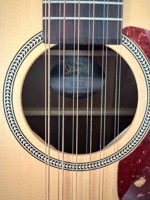 Seagull Strumenti musicali: Neuwertige SEAGULL EX WN 12-string – Usato da Birsfelden venduto da Eric2198 2