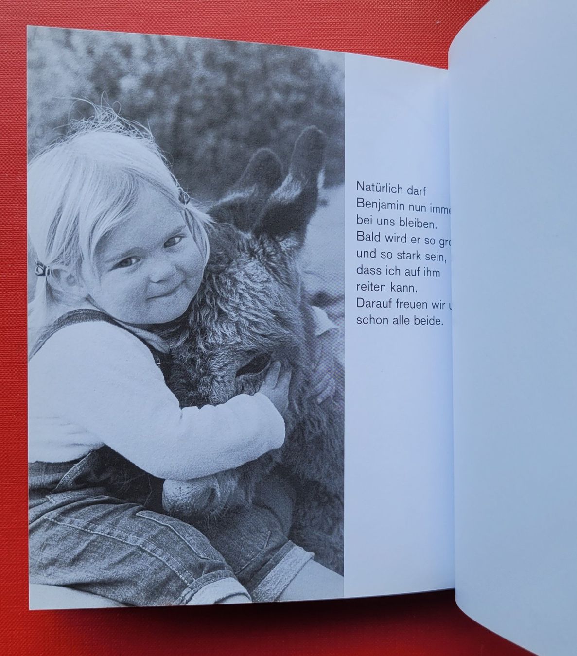 Bücher: Mein Esel Benjamin – Gebraucht aus Zürich von Avd 7