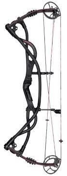 Hoyt Compound Bogen Carbon Matrix (Gebraucht) in Wädenswil für CHF 250 ...