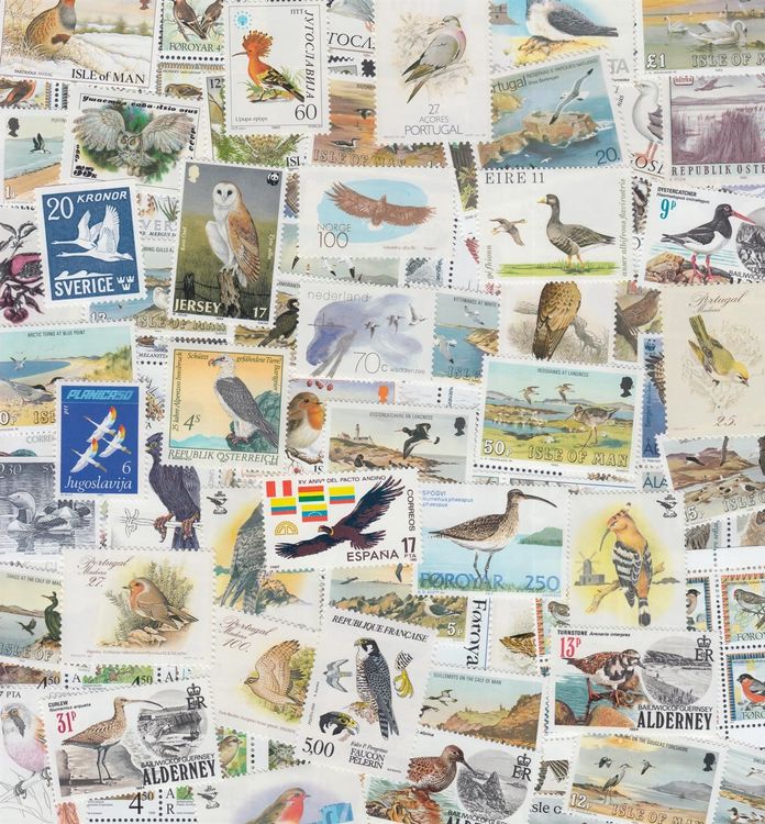 Prophila 100 Verschiedene Vogel-Briefmarken - Sammlerset Für Philatelisten