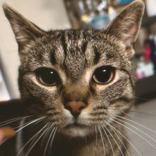 Profile image of maj_lp9m