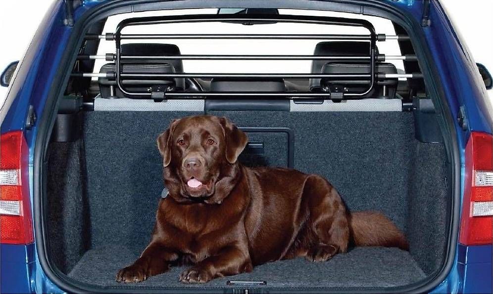 Gabbie, trasporto & Sicurezza: Grille de séparation chien – Usato da Chandon venduto da moi_7hfg 2