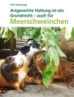 Artgerechte Haltung für Meerschweinchen