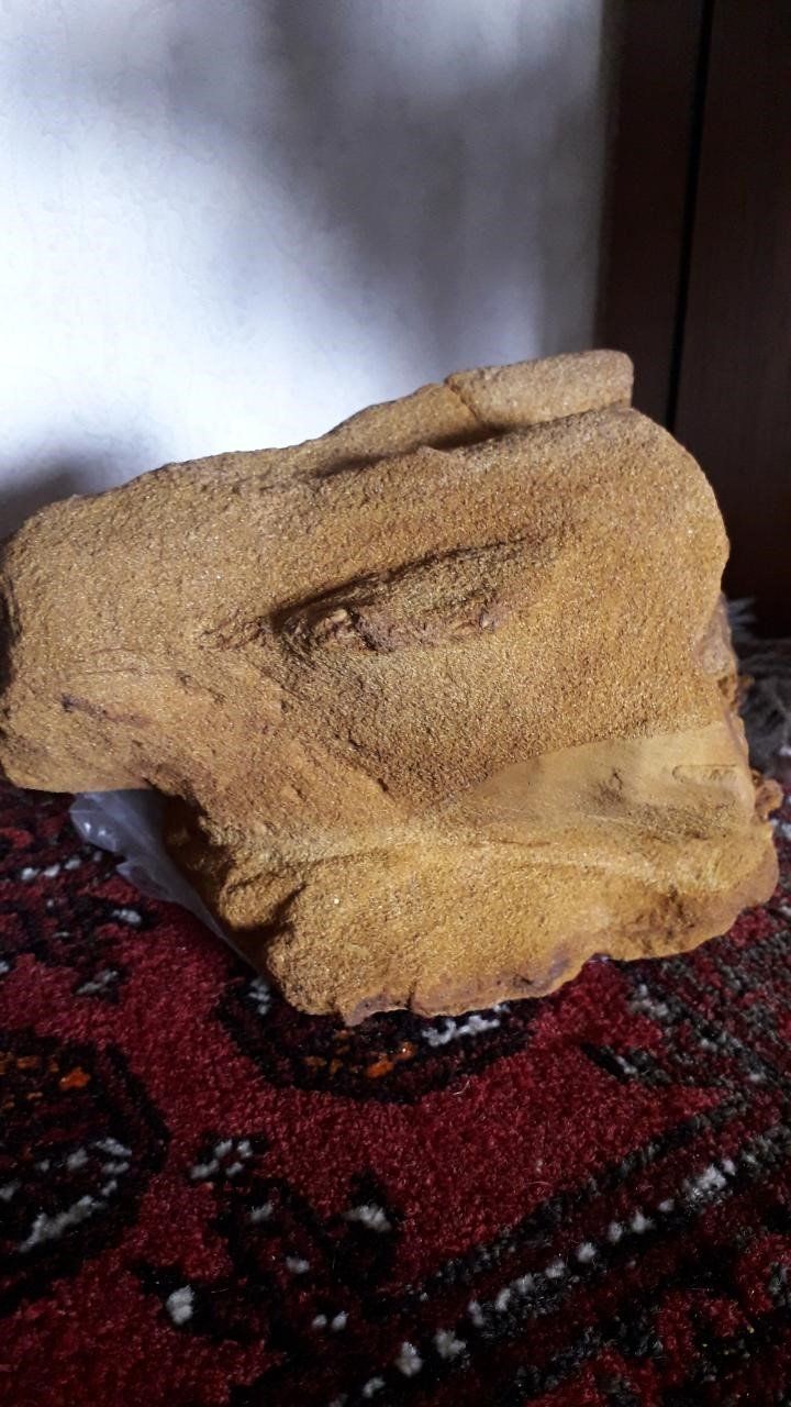 Fossili: Versteinertes Holz – Nuovo (secondo la descrizione) da Neuhausen venduto da terracebc 4