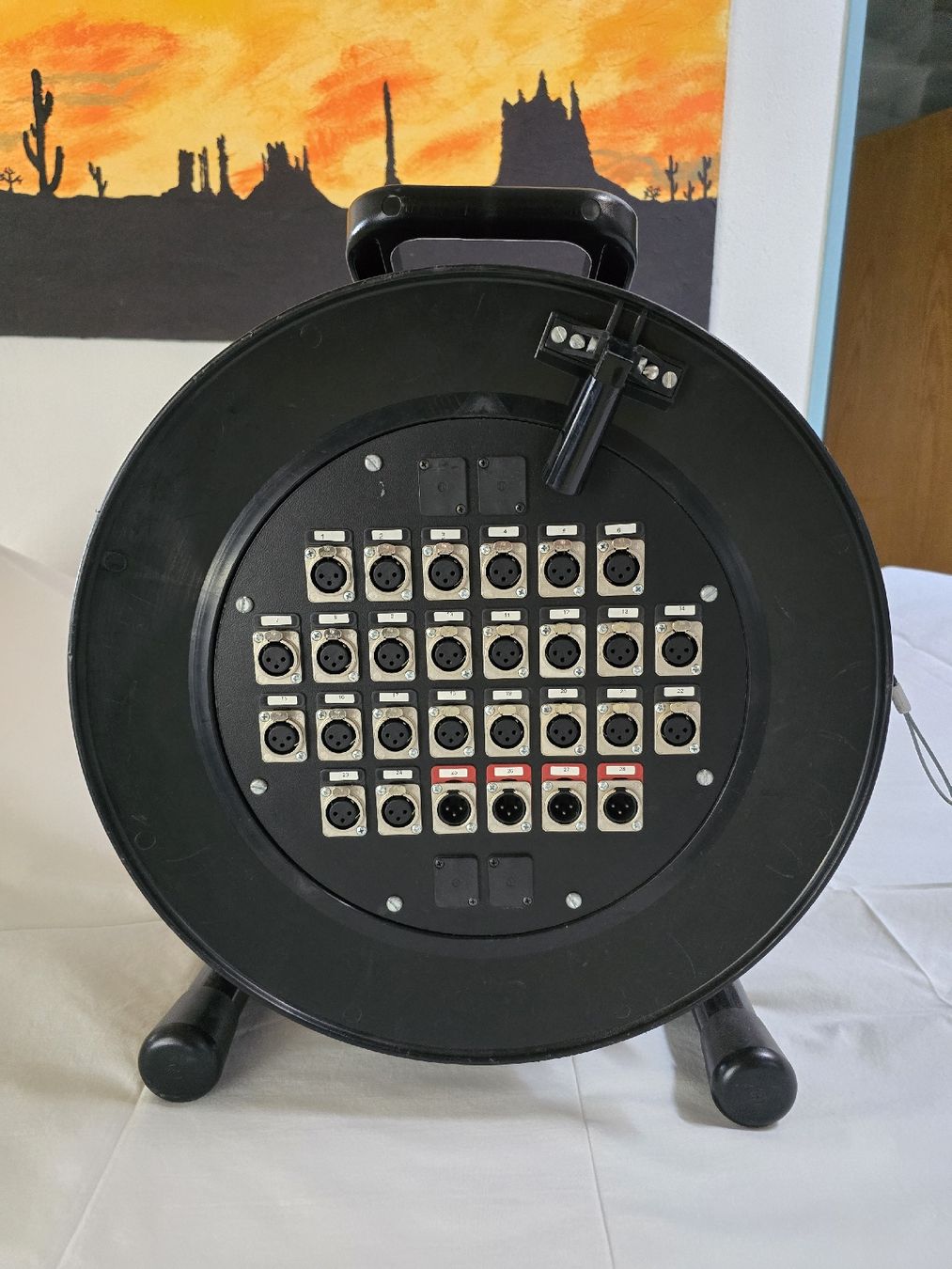 Cavi: Stagebox / Multicore 24 Kanäle XLR – Usato da Boswil venduto da RobHerst 1