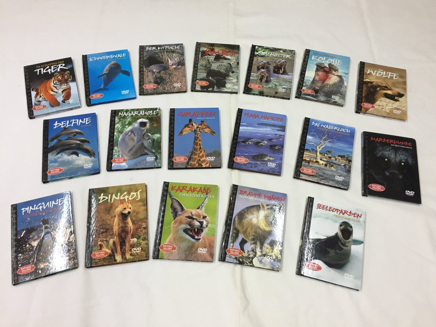 Tutti i DVDs: 18 x DVD "Raubtieren" – Usato da Schaffhausen venduto da sparzone