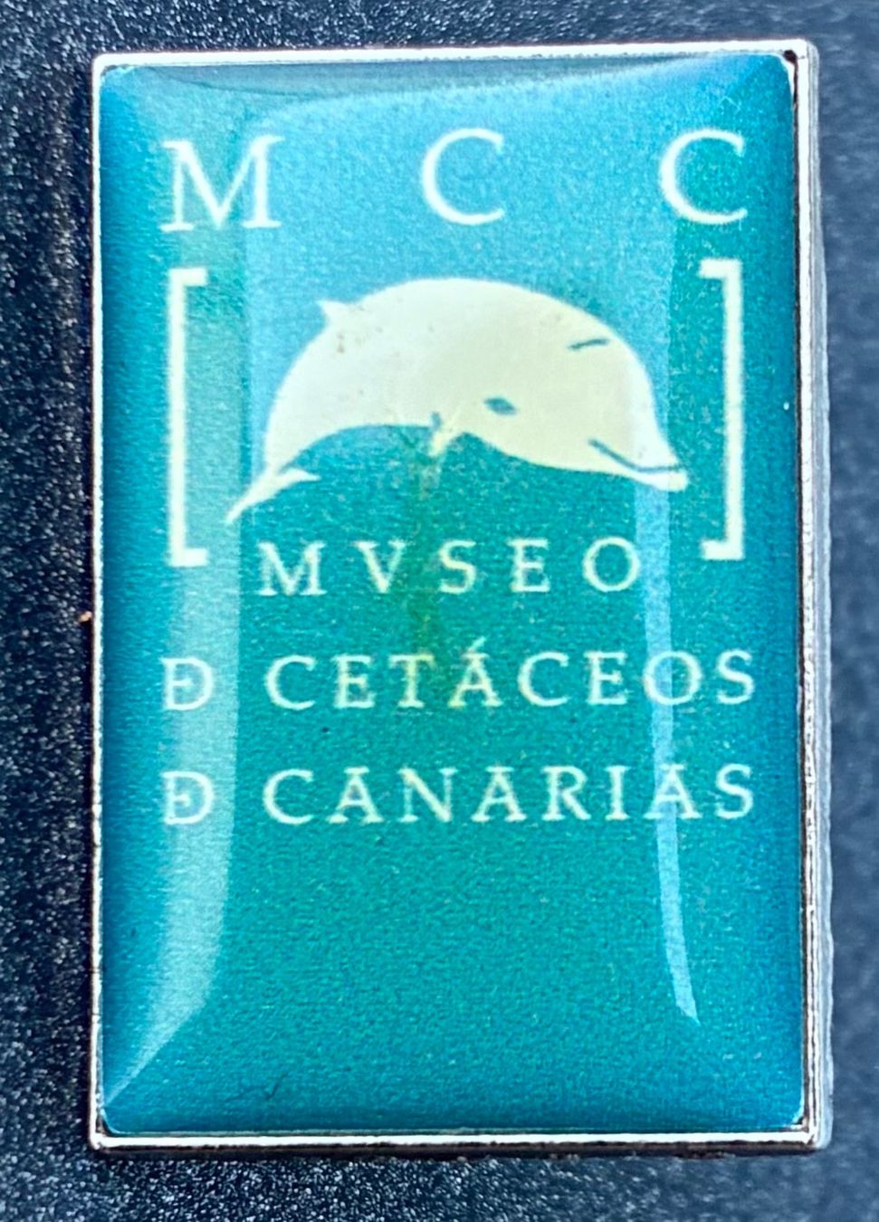Plaquettes & Badges: Pin Museum Lanzarote – D'occasion à Burgdorf par Accipiter_nisus