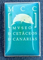 Pin Museum Lanzarote