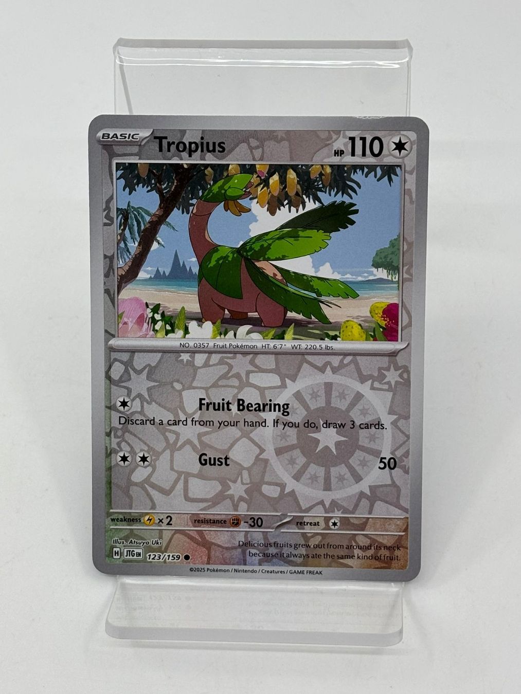 Pokémon Carte collezionabili: Pokemon Tropius 123/159 – Usato da Herisau venduto da Pokemon2026