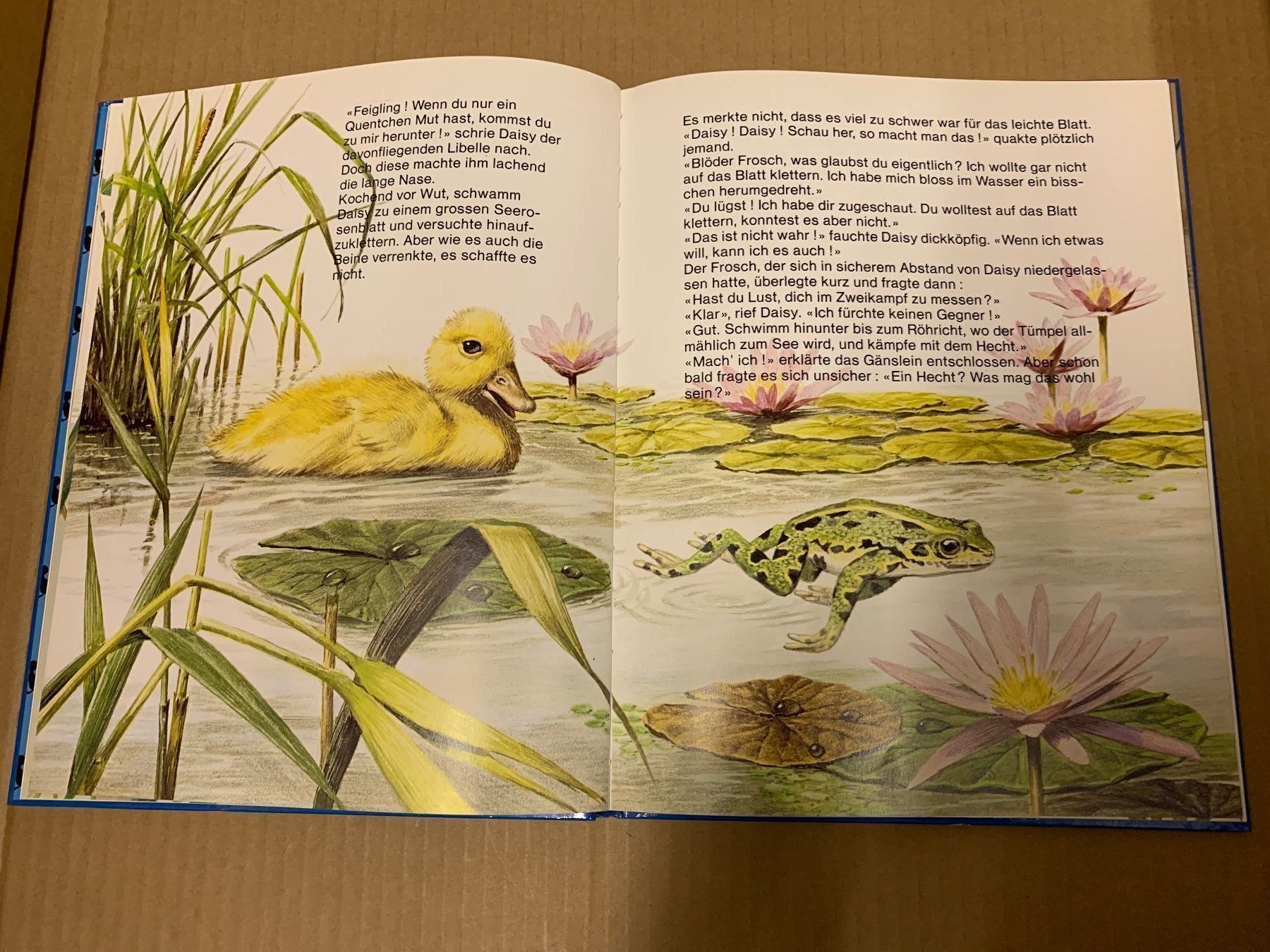 Bücher: Daisy das hochnäsige Gänslein (Buch) – Gebraucht aus Eschlikon TG von RamonaSt 4