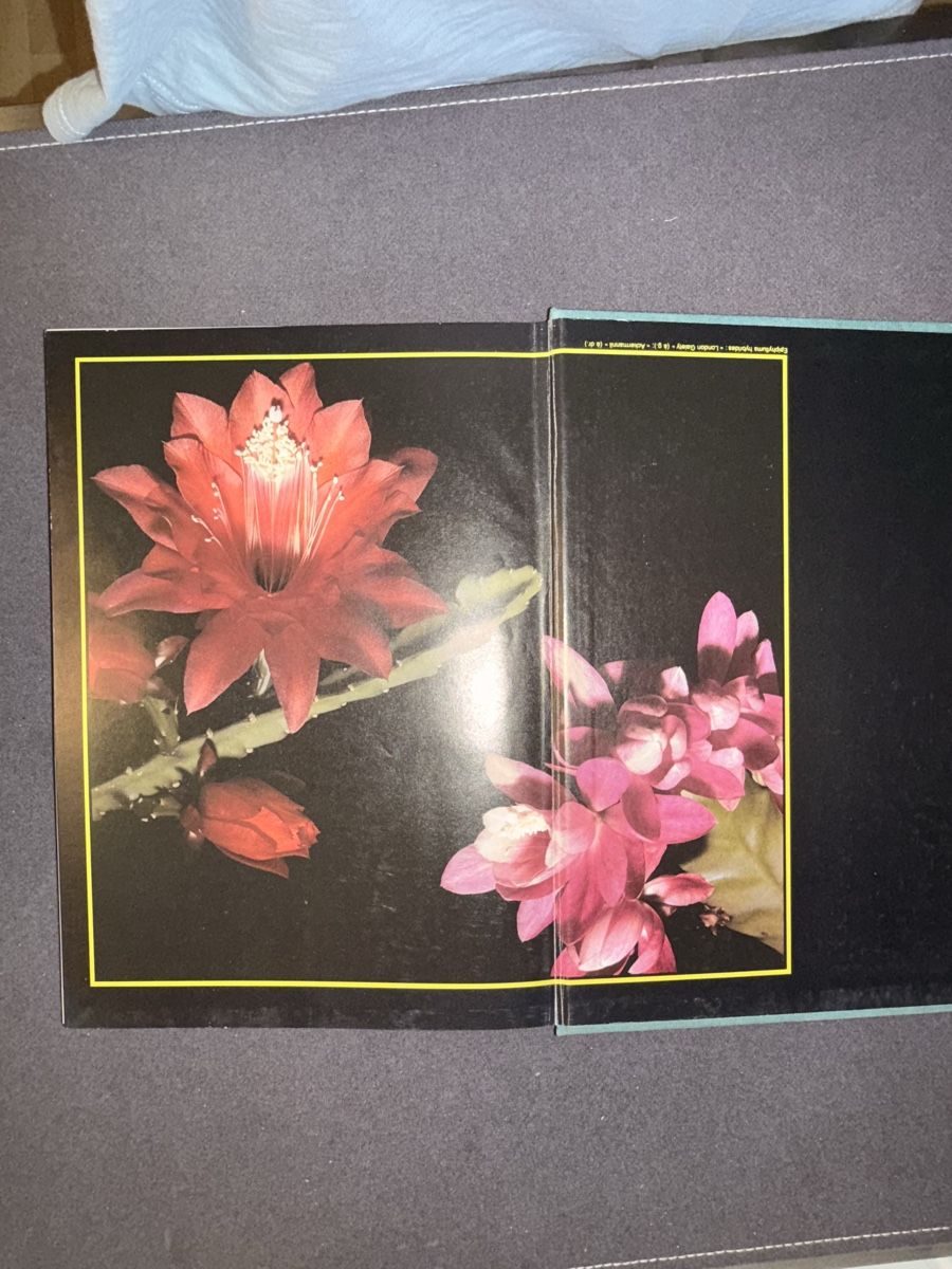 Bücher: Livre – Gebraucht aus Le Sentier von CannelleVintage13 3