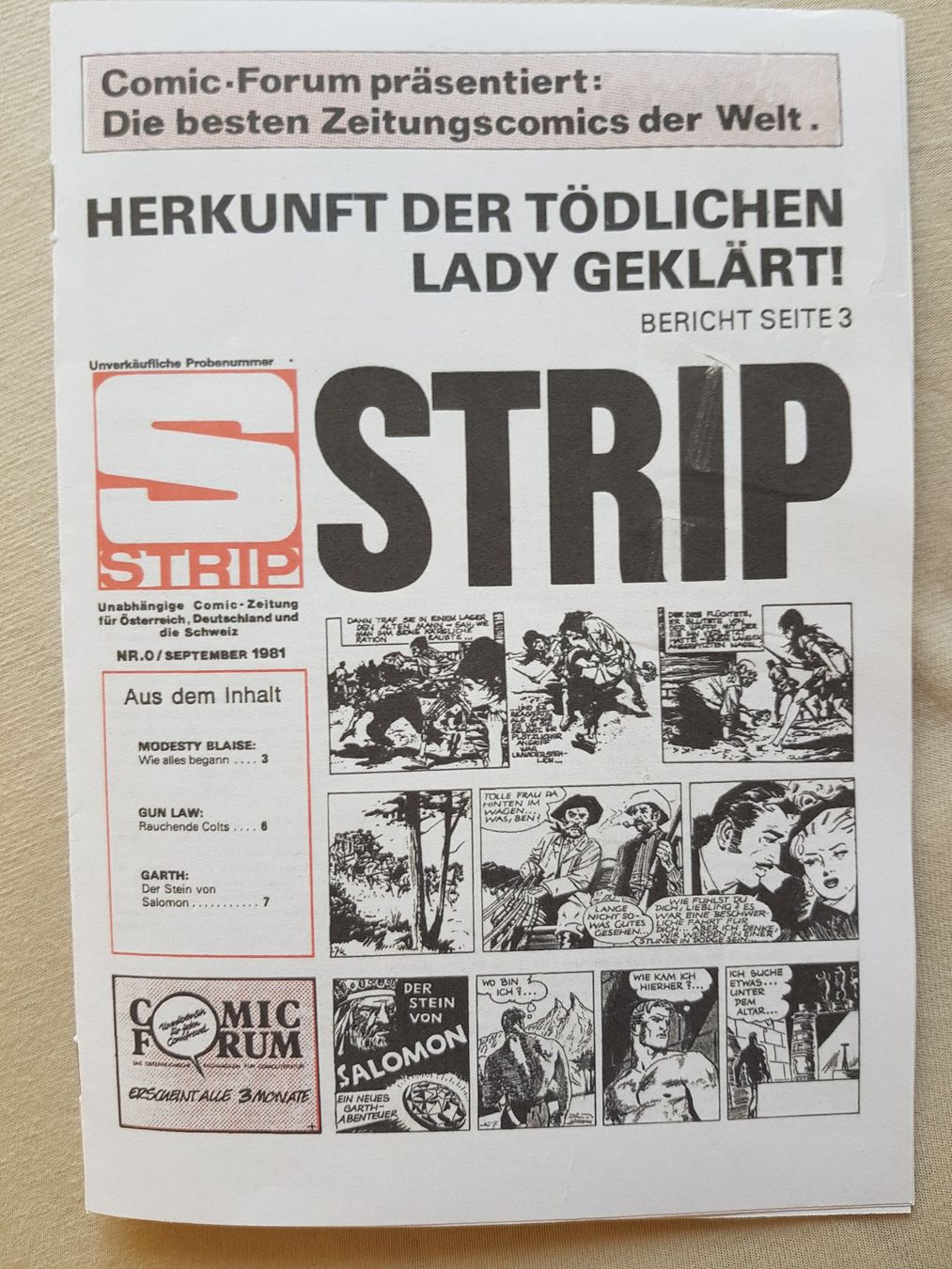 Comics: STRIP / Comic Strips #00 Comic Forum - Fan-Druck/Kopie – Gebraucht aus Thun von Shame