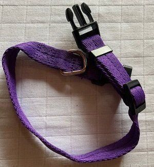 Guinzagli & Collari: Hundehalsband – Nuovo e nell'imballaggio originale da Matt venduto da Westigruppe