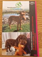 2 für 1 Gutschein Hunde- und Katzencoiffeur