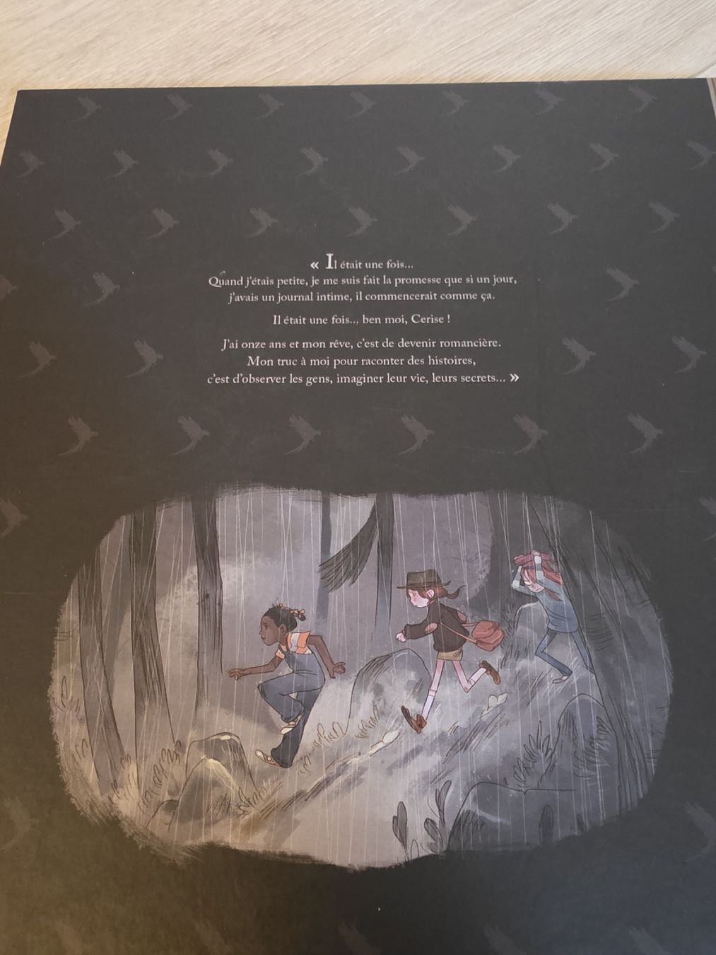 BD: Les Carnets de Cerise comic – Neuf (Voir description) à Wigoltingen par Zuckerfee84 1
