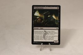 Typhusratten - Magic