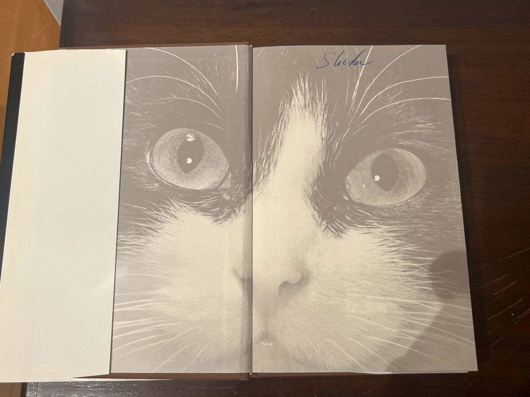 Libri: Buch - Knaurs Katzenbuch, Walter Schneider – Usato da Luzern venduto da Jiggy_8898 3
