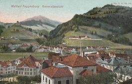 Wattwil-Toggenburg-Bahnpost-Balkenstempel-WATTWYL-1909