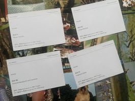 Sammelbilder BEA Verlag 70er Jahre / 166 Stk.