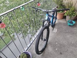 Rose "The Bruce" Dirt Bike