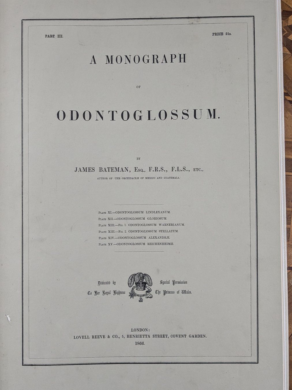 Libri: James Bateman - Monographie Odontoglossum – Usato da Bülach venduto da mueller8180 5